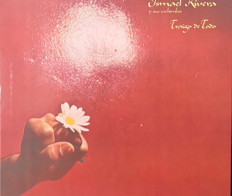 R-32060274-1731417049-8742